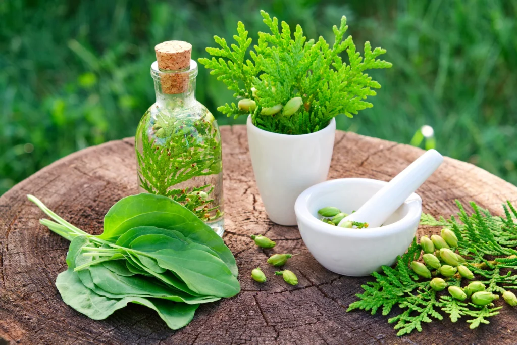 herbal products
